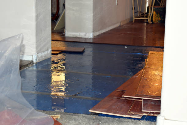 Professional Basement Flood Cleanup technician working in Wayland, MI